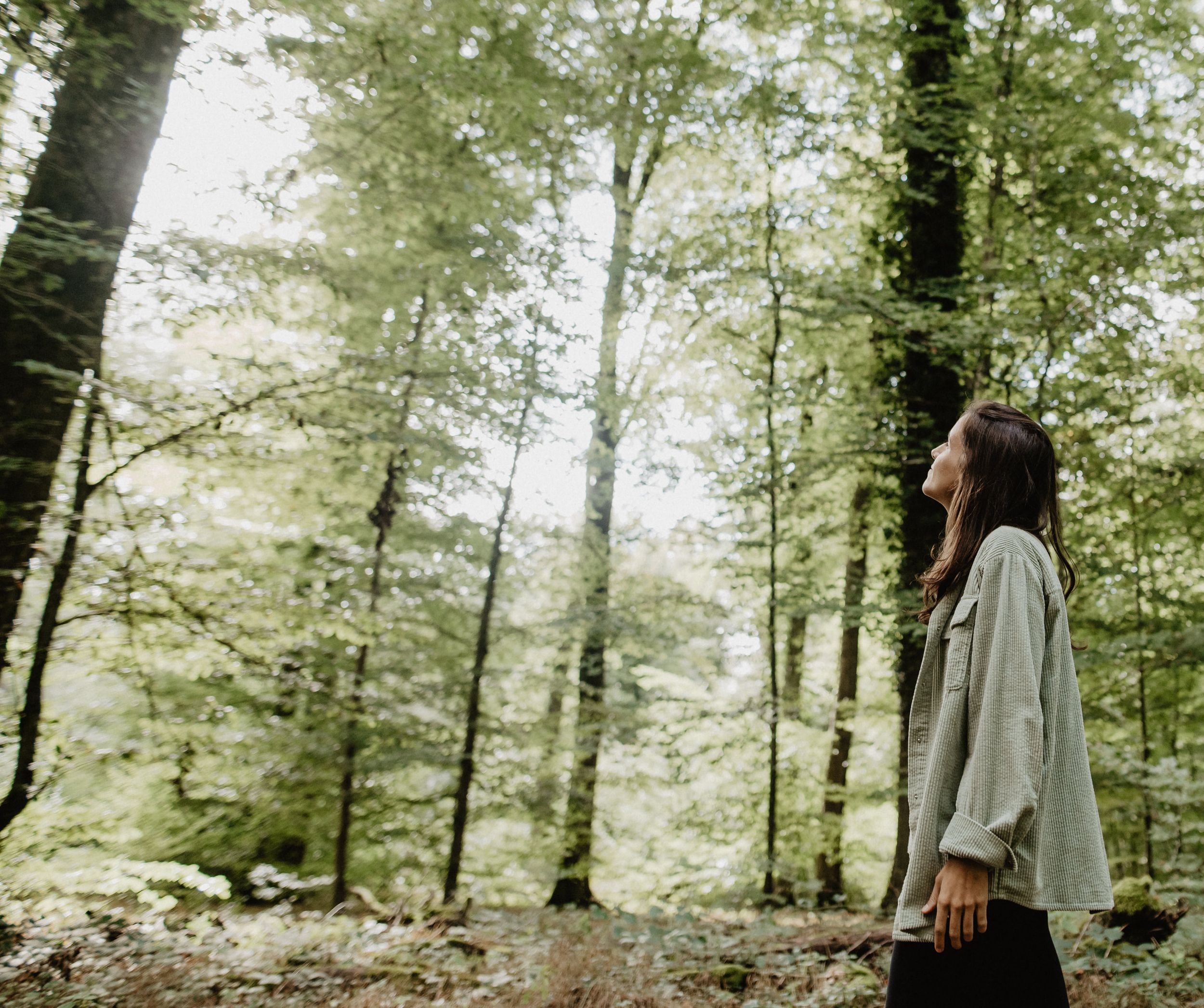 Forest bathing