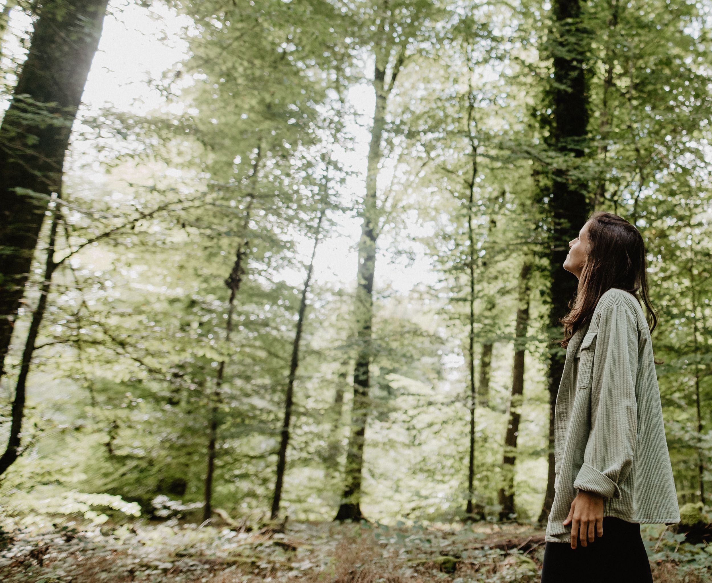 Forest bathing