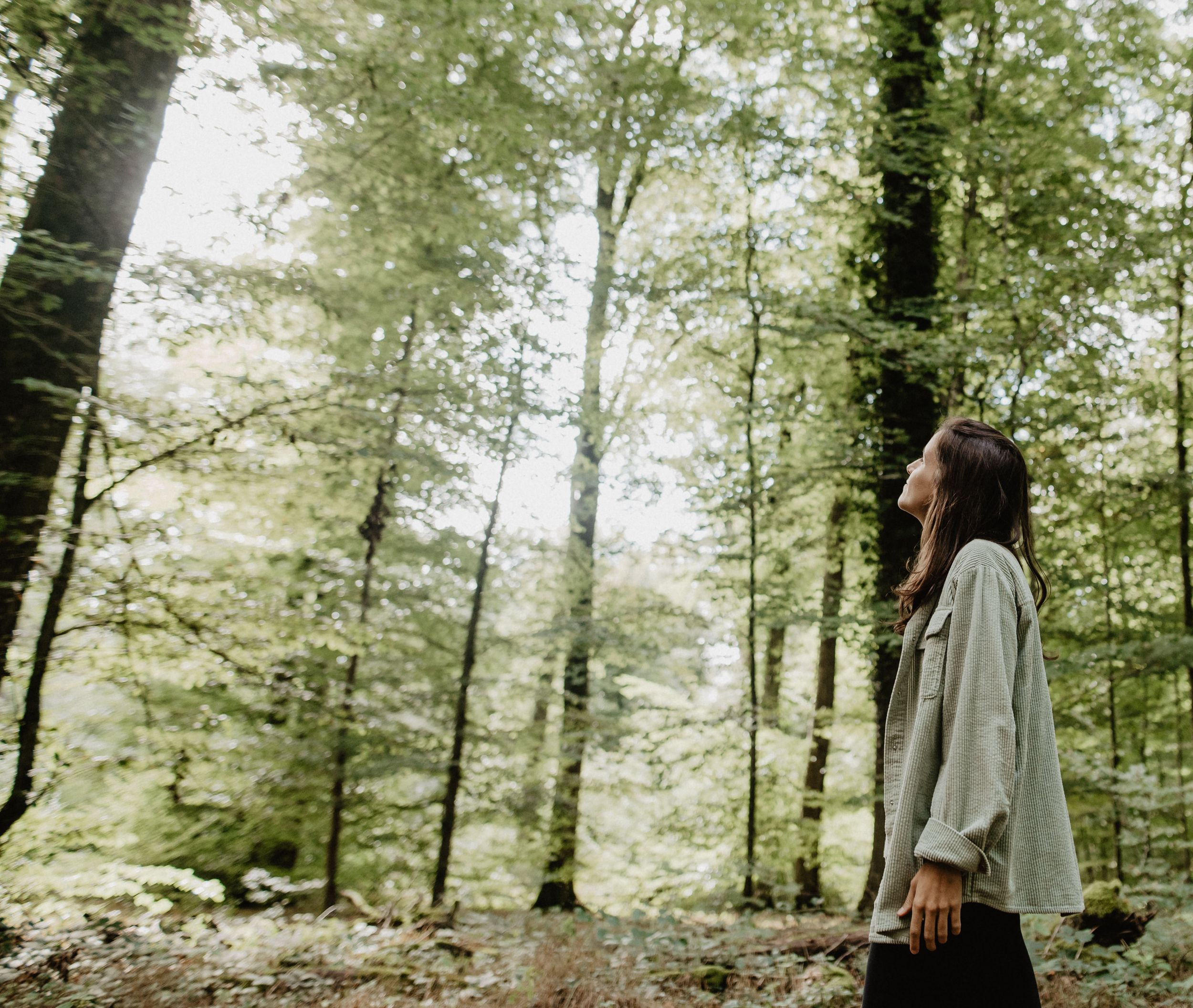 Forest bathing